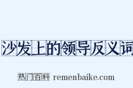 沙发上的领导反义词是什么意思的图片